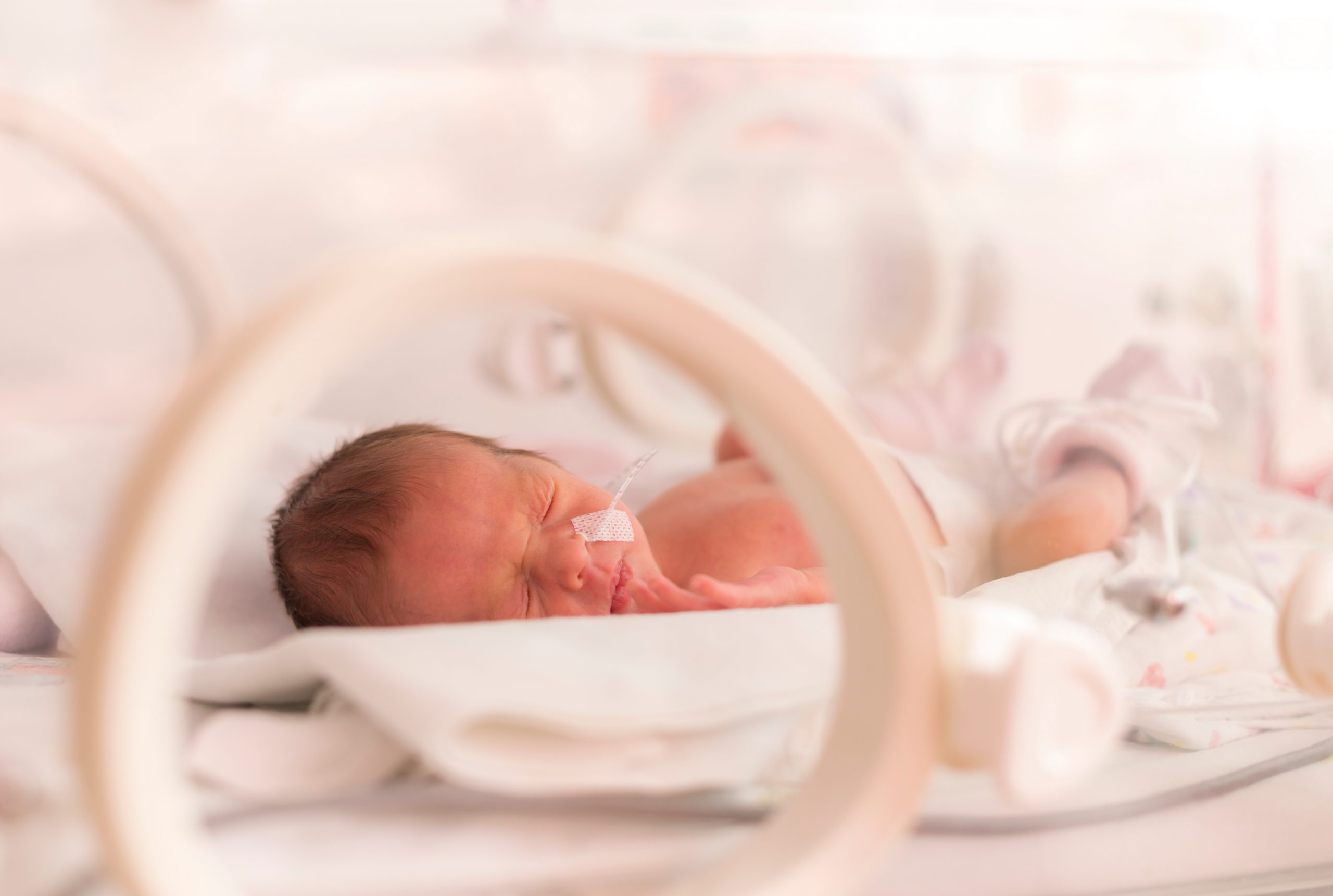 Baixa ingestão de DHA e risco de parto prematuro: Existe relação?
